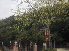 -广州市流溪河国家森林公园