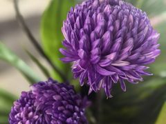 -海南清水湾莱佛士酒店