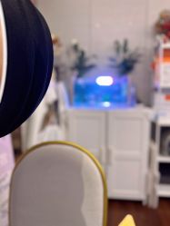 -哈颜科技轻美·