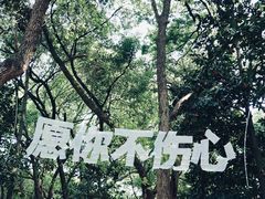 -杭州植物园