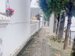 -齐动力网球培训(国贸店)