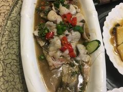 -陶缘一号·四季缘·老字号顺德菜·户外婚礼家宴(西滘店)