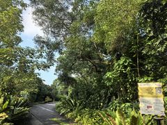 -武吉知马自然保护区