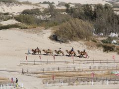 -库伦旗银沙湾旅游景区