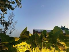 -悦哉·派对·草坪婚礼·围炉煮茶(三圣乡店)