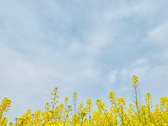 -国际非物质文化遗产博览园