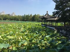 -高子水居