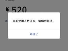 -咱屯子铁锅炖(洪楼店)