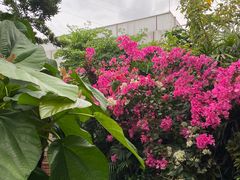-正佳雨林生态植物园
