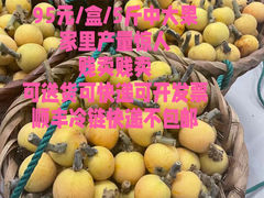 -苏州太湖西山岛开心农场