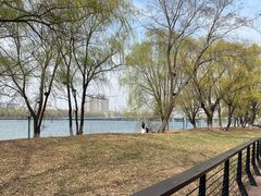 -长白岛森林公园