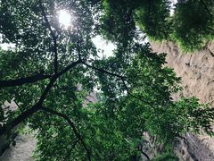 -崂山巨峰游览区