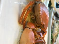 -凤城·食都