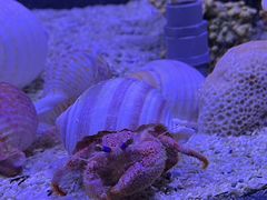 -太平洋海底世界