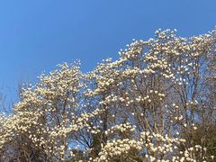 -济南大明湖景区