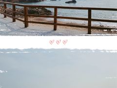 -小麦岛公园
