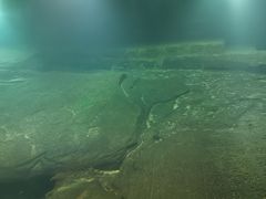 -白鹤梁水下博物馆
