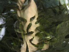 -嘉和K6温泉微度假