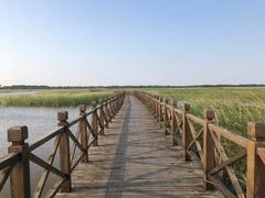 -盐城丹顶鹤湿地生态旅游区