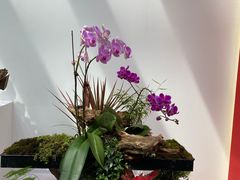 -东平国家森林公园
