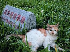 -晓港公园