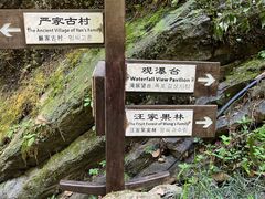 -石台牯牛降景区
