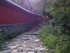 iphone_upload_pic-阳台山自然风景区