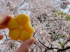-堤角公园