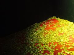 罗生门密室逃脱俱乐部(亚运村店)-秃鹫湾·推理大师沉浸式实景演绎推理剧场