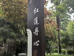 -莲湖公园