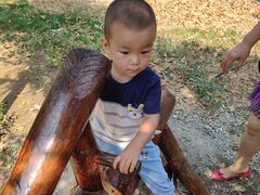 -武汉紫薇都市田园