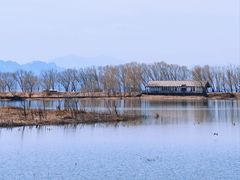 -野鸭湖国家湿地公园