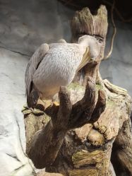 -Zoolung Zoolung动物主题公园(海信广场店)