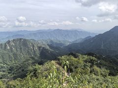 -大岭沟猕猴桃谷风景区