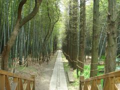 -同里国家湿地公园