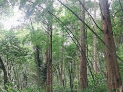 -峨眉山报国寺