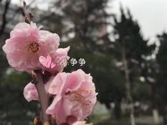 -锡师附小学(学前街校区)