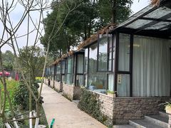 -洪湖家庭农场·团建·露营·会议