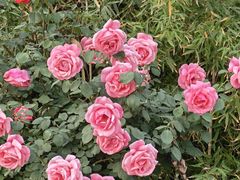 -下沉广场(羊坊店街道)