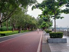 -南宁南湖公园