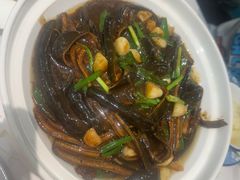 -丁老爷子苏香圆
