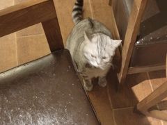 -H立方实景剧情密室(天河旗舰店)