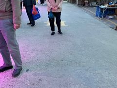 -中环花鸟鱼虫市场