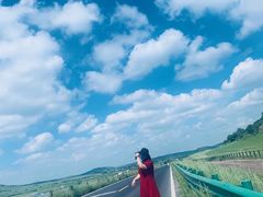 -塞罕坝国家级自然保护区