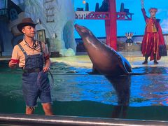 -三亚海昌梦幻海洋不夜城