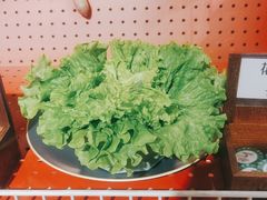 -羊大爷涮肉(亮马桥店)