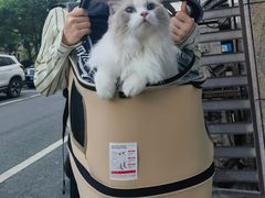 -萌兽医馆·宠物医院·猫骨科(创景店)