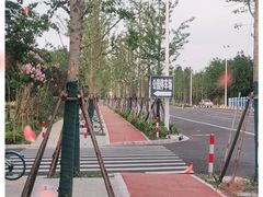 -上海滨江森林公园
