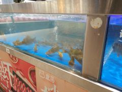 水产区-盒马鲜生(财富中心店)