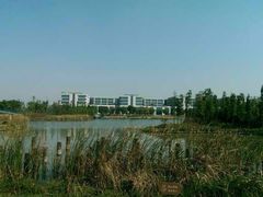 -尚贤河湿地